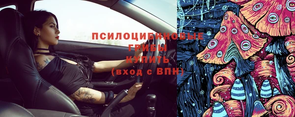 МДПВ Алексеевка