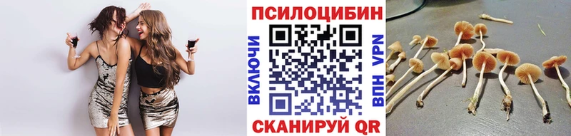 Галлюциногенные грибы GOLDEN TEACHER  купить наркотик  Калининск 